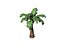 Palm Tree 3D model