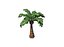 Palm Tree 3D model