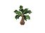 Palm Tree 3D model