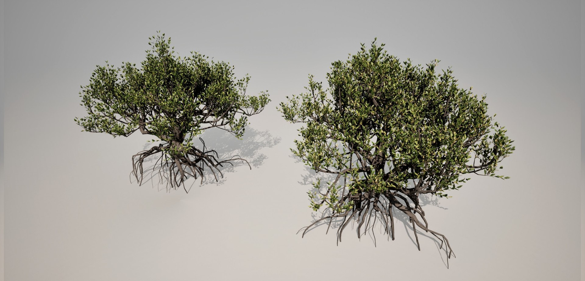 Mangrove 3D Models 3D - TurboSquid 2213031