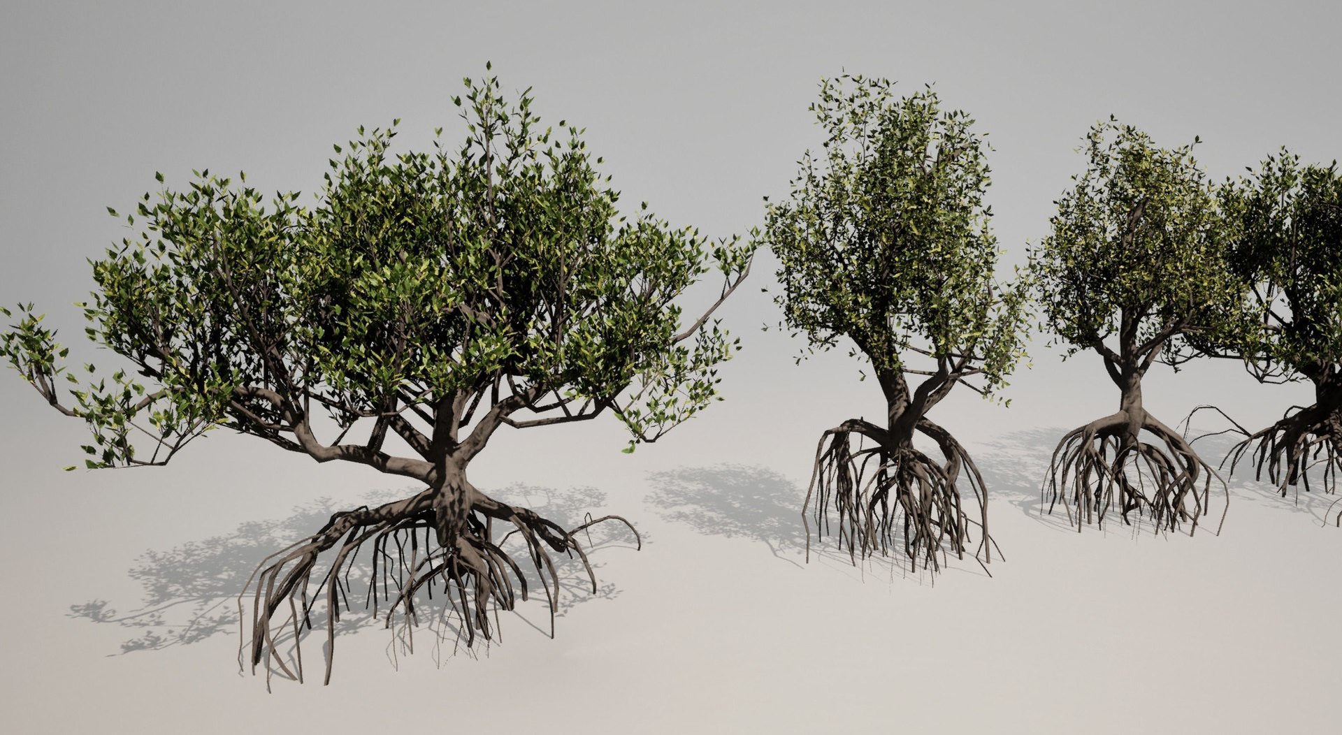 Mangrove 3D Models 3D - TurboSquid 2213031