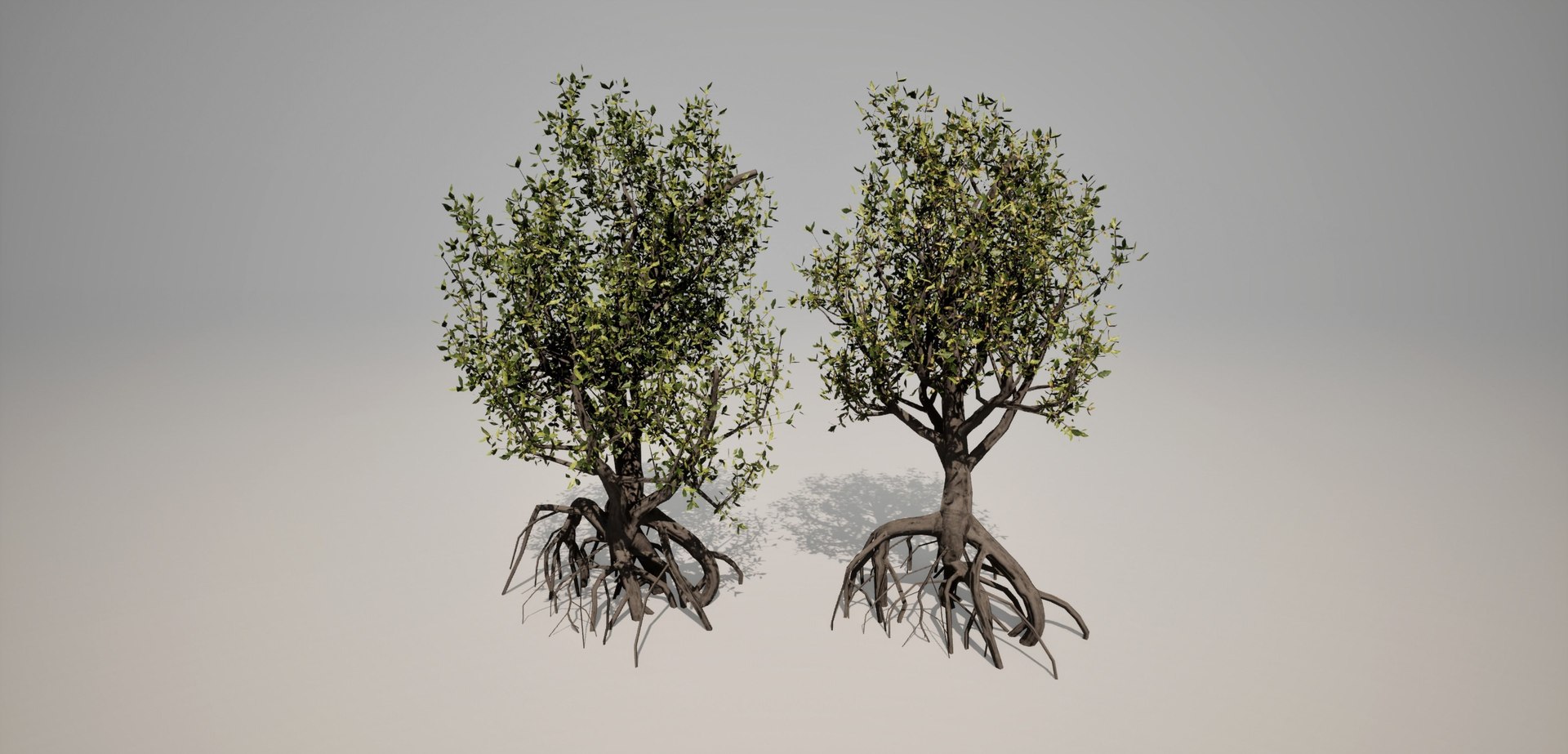 Mangrove 3D Models 3D - TurboSquid 2213031