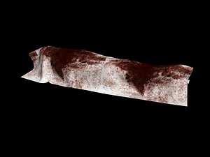 3dsmax dead body covered bloody