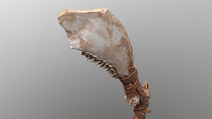 real axe bone 3D model