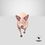 pig---running 3D