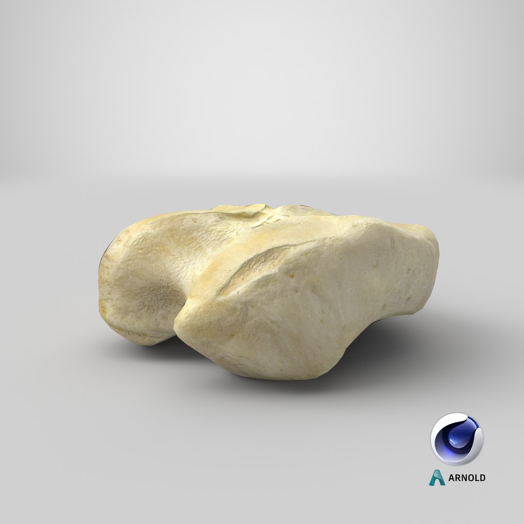 horse equus ferus caballus 3D model https://p.turbosquid.com/ts-thumb/F2/dxVSkF/71xDeWow/stemcell_cinema_4d_arnold_render/png/1603181330/1920x1080/fit_q87/7f9cf0df05b8fbba4a02d22b8e63ca3ebfe1e4dc/stemcell_cinema_4d_arnold_render.jpg