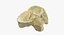 Vrai cheval Equus Ferus Caballus Central Tarsal Bone 01