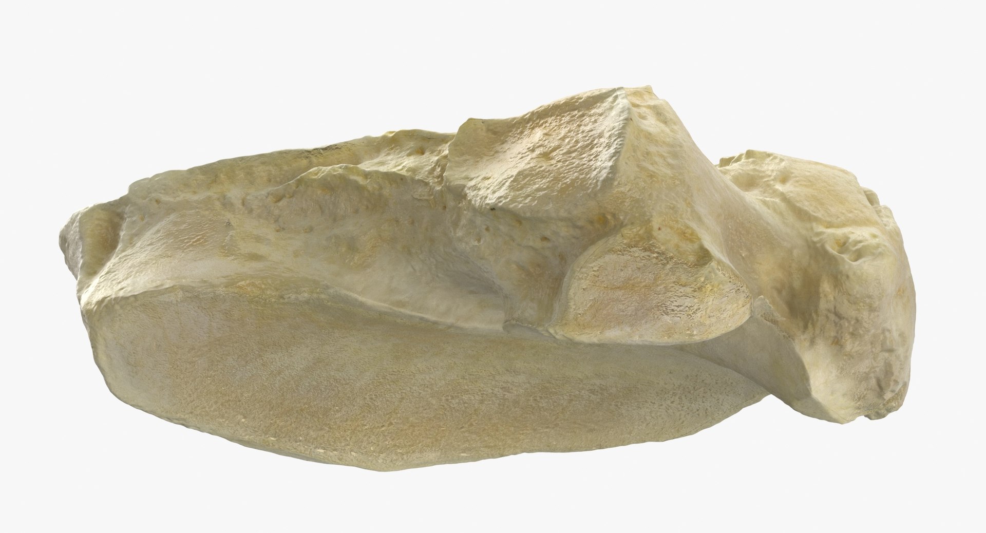 horse equus ferus caballus 3D model https://p.turbosquid.com/ts-thumb/F2/dxVSkF/PMTHsGd4/horse_equus_ferus_caballus_central_tarsal_bone_01_thumbnail_0008/jpg/1594903996/1920x1080/fit_q87/50a9dcb186bf9fffd5af759a67f7aaf13c1be618/horse_equus_ferus_caballus_central_tarsal_bone_01_thumbnail_0008.jpg