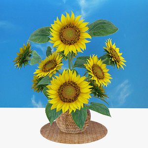 3D Sunflowers in a basket model