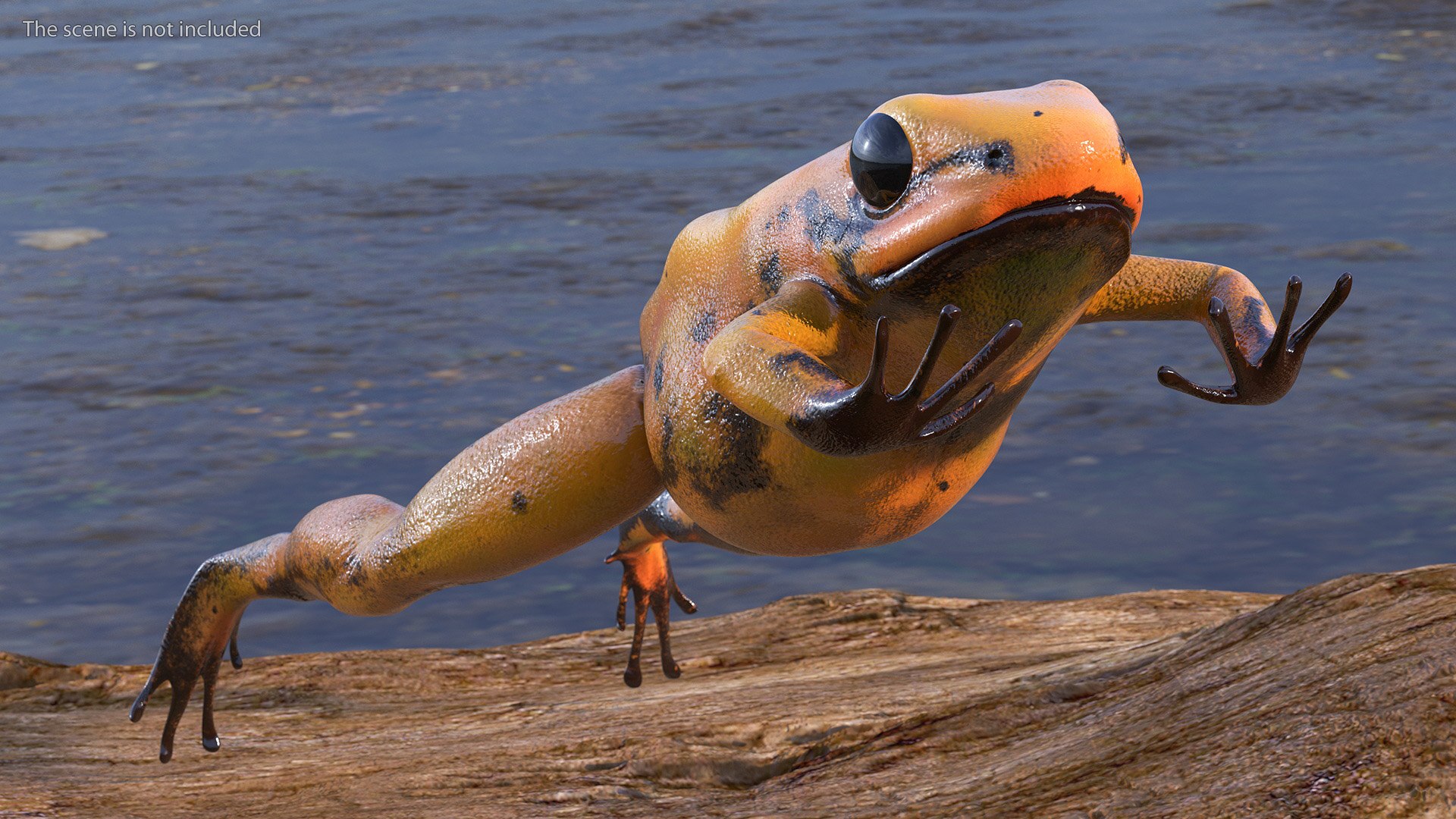 3D Poisonous Dart Frog Orange Morph Rigged for Cinema 4D https://p.turbosquid.com/ts-thumb/F2/h04uXU/Jh/poisonousdartfrogorangemorphriggedforcinema4dmb3dmodel010/jpg/1709682771/1920x1080/fit_q87/34cc828d1b547f0d17c7b0dc98498016e3f3e4ce/poisonousdartfrogorangemorphriggedforcinema4dmb3dmodel010.jpg
