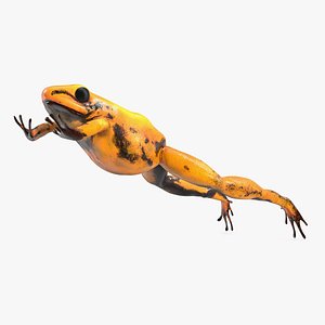 Poisonous Dart Frog Orange Morph Rigged for Cinema 4D
