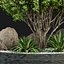 Coleção Jardim Interior com Plantas vol 194
