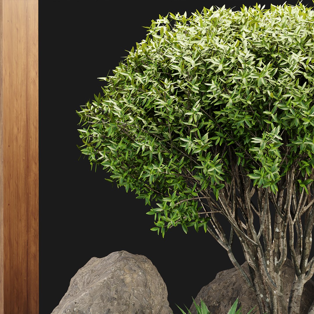 Indoor Garden with Plants collection vol 194 3D model https://p.turbosquid.com/ts-thumb/F2/r93xaC/Fo/3/jpg/1678919973/1920x1080/fit_q87/26ab3958c72fe42407ccc6f637f57cf84bc37f10/3.jpg