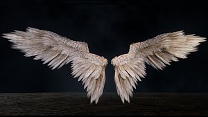 Angel Wings