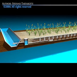 constructed wetland sewage treatment 3d model