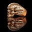 anello cranio senza mascella ver2