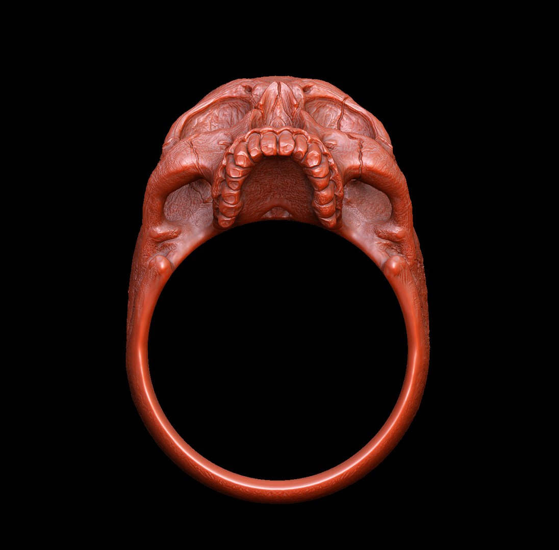 silver ring 3D https://p.turbosquid.com/ts-thumb/F3/9HIDLz/D8nR8DBF/zbrushdocument03/jpg/1552504326/1920x1080/fit_q87/11ed293214d8f9015442525499b41e3015fe9954/zbrushdocument03.jpg