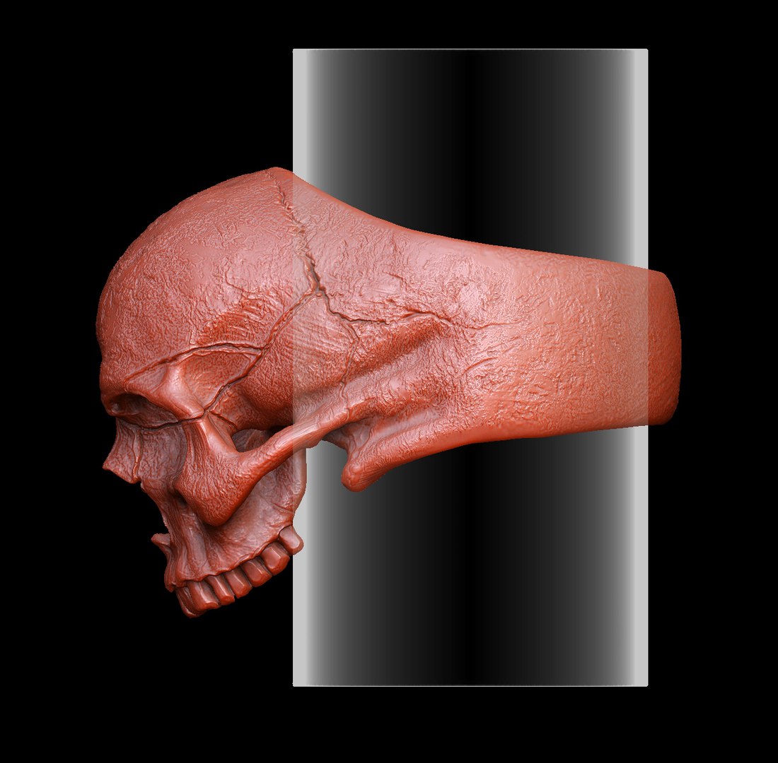 silver ring 3D https://p.turbosquid.com/ts-thumb/F3/9HIDLz/PVhLEoeF/zbrushdocument01/jpg/1552504299/1920x1080/fit_q87/218462cd5393d90ae987e88eeb92a686a27bbce6/zbrushdocument01.jpg