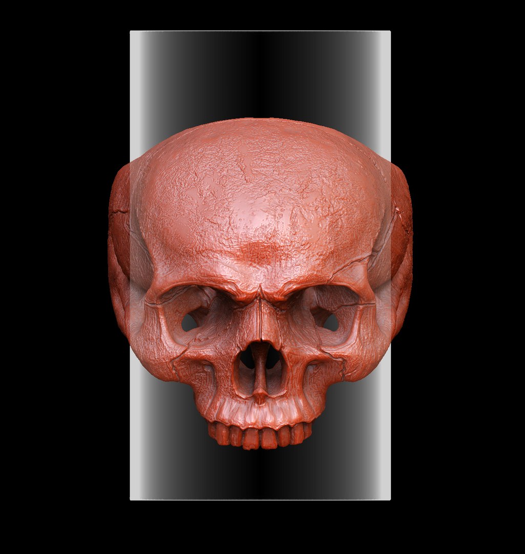 silver ring 3D https://p.turbosquid.com/ts-thumb/F3/9HIDLz/xuE93nbr/zbrushdocument02/jpg/1552504312/1920x1080/fit_q87/b7395da55b38717b10d995e26a978cf29b320ebe/zbrushdocument02.jpg