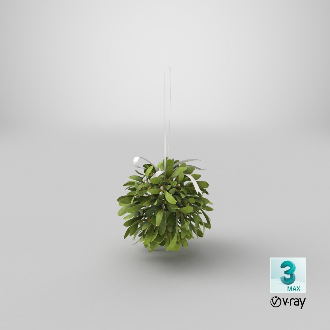 mistletoe bouquet 3d model