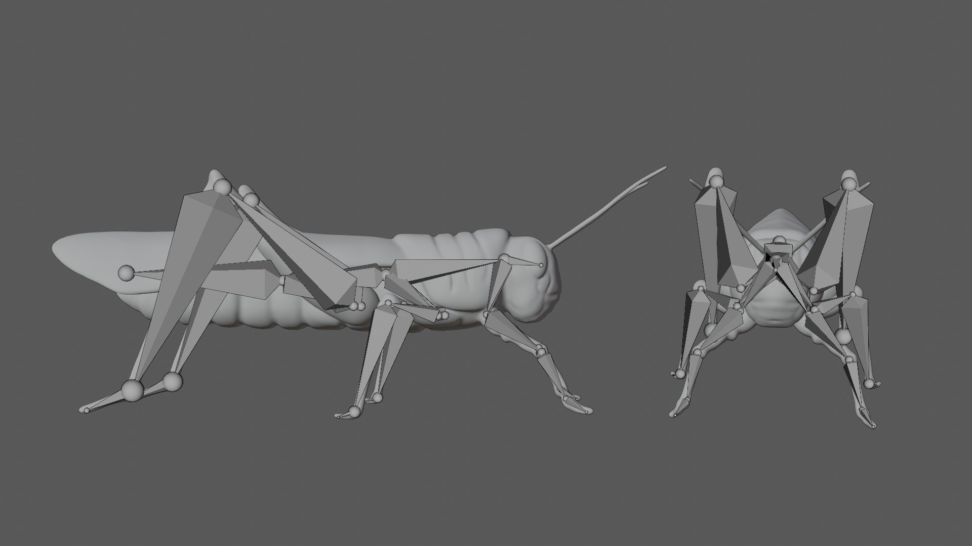 3D Rigged locust model - TurboSquid 1775171
