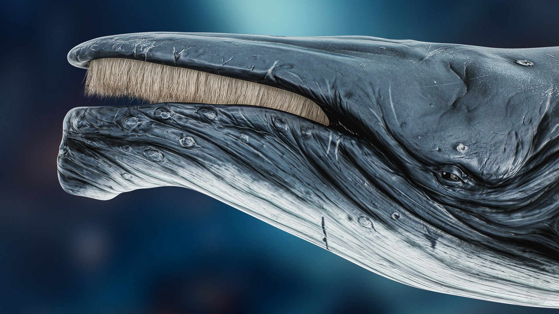 3D model Ocean Monster Fish Pack 3 - Low poly Fish - Predator - Underwater Creatures 38 https://p.turbosquid.com/ts-thumb/F3/m26RXP/Nl/whake_05/jpg/1712437505/1920x1080/fit_q87/0d49107a0b89a707a85ac238edc0ed2b30a60413/whake_05.jpg