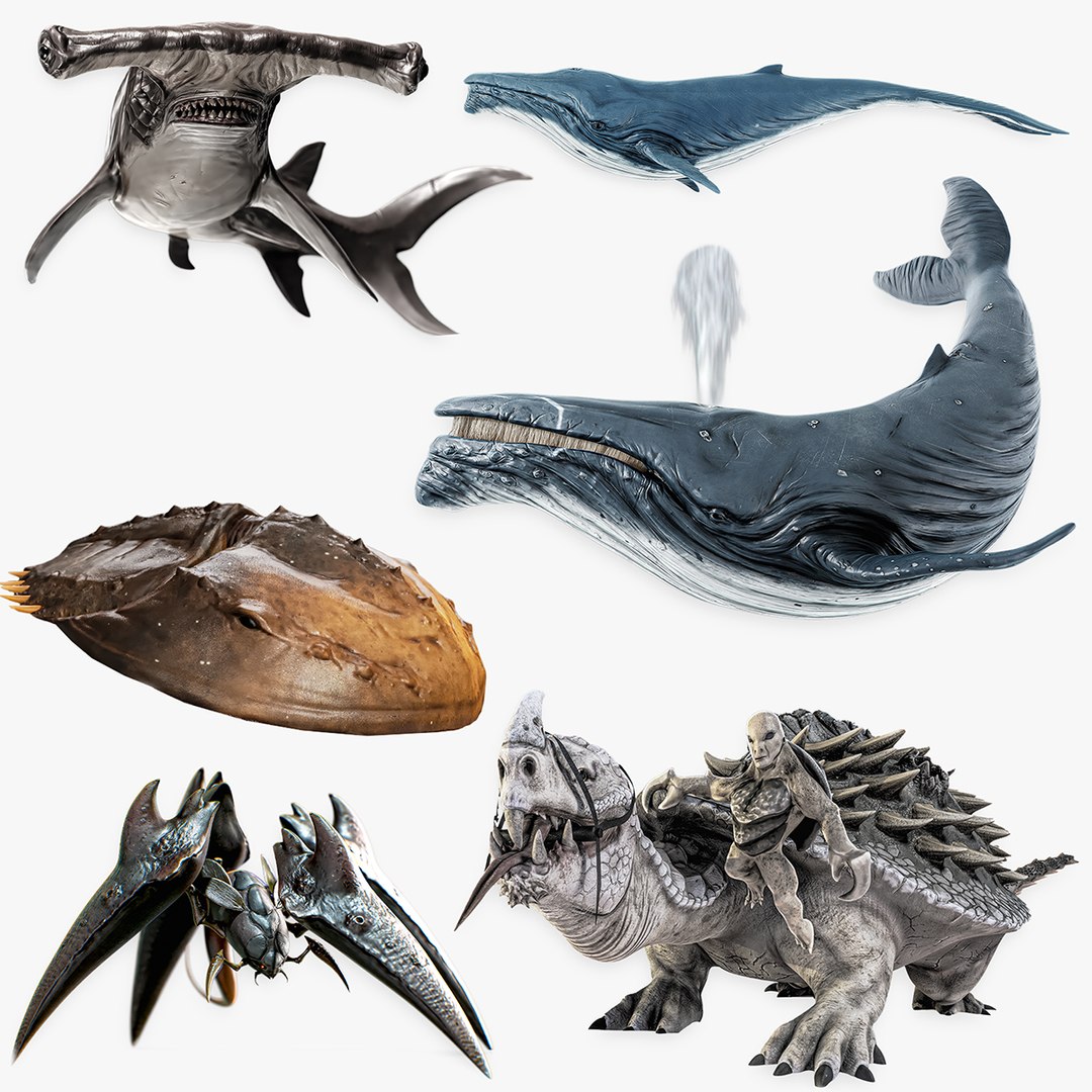 3D model Ocean Monster Fish Pack 3 - Low poly Fish - Predator - Underwater Creatures 38 https://p.turbosquid.com/ts-thumb/F3/m26RXP/QQ/turb/jpg/1712437550/1920x1080/fit_q87/05692f0b085e66df77b670e18a9dcc8d22798f7a/turb.jpg
