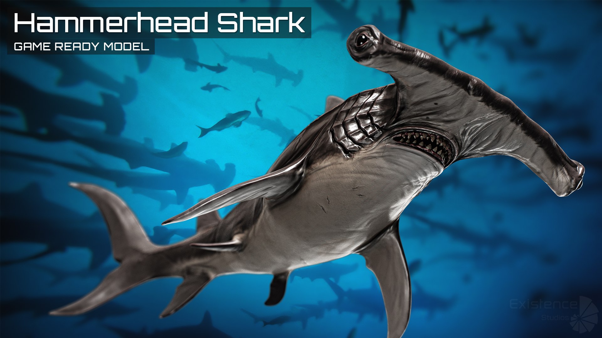 3D model Ocean Monster Fish Pack 3 - Low poly Fish - Predator - Underwater Creatures 38 https://p.turbosquid.com/ts-thumb/F3/m26RXP/Xq/hammershark_01/jpg/1712437487/1920x1080/fit_q87/cfeafab99d2717775b4890825aaf0975e186a8e7/hammershark_01.jpg