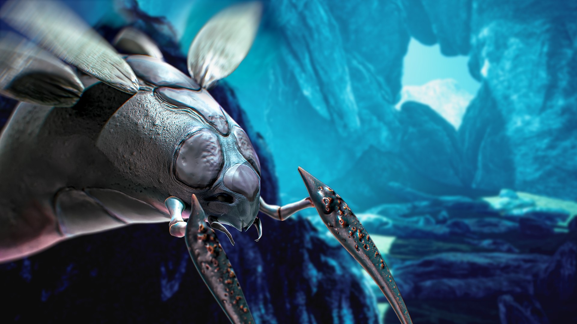 3D model Ocean Monster Fish Pack 3 - Low poly Fish - Predator - Underwater Creatures 38 https://p.turbosquid.com/ts-thumb/F3/m26RXP/xT/spidercrab_01/jpg/1712437494/1920x1080/fit_q87/052b3a13484881d1322e801ff67017b78ca32865/spidercrab_01.jpg
