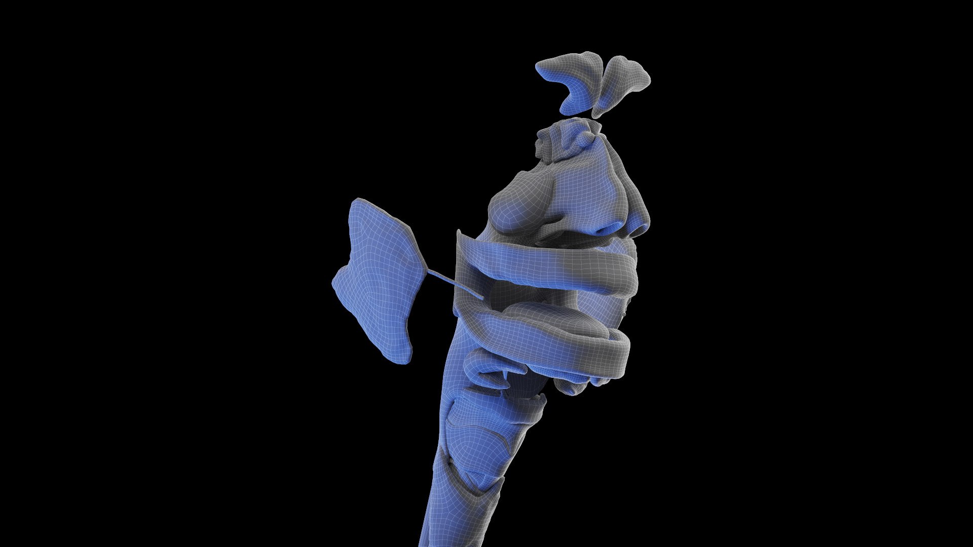 Human Female Organs 3D model https://p.turbosquid.com/ts-thumb/F3/uC0doR/mu/female_anatomy_organs_wire_05/jpg/1672916021/1920x1080/fit_q87/d79738af4a5351df7759c34d8f0f3e3fb7756d98/female_anatomy_organs_wire_05.jpg