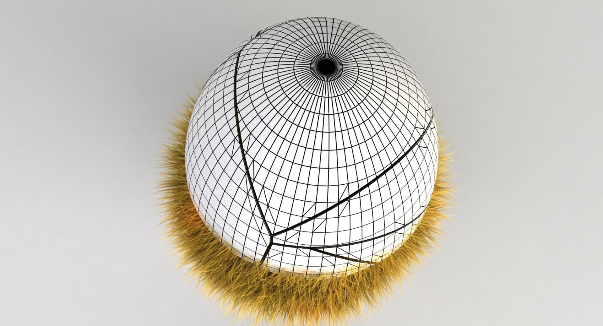 egg 3D model https://p.turbosquid.com/ts-thumb/F4/FjfwPB/9GBoFqGY/11/jpg/1507316117/1920x1080/fit_q87/5df6f2940414b715a4ae1a96e41b49e3e10101b9/11.jpg
