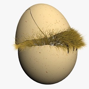 egg 3D model