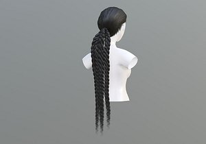 3D Ponytail Braid Hairstyle model