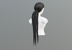 Ponytail Braid Hairstyle