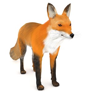 3D red fox