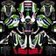 가와사키 닌자 ZX-10RR