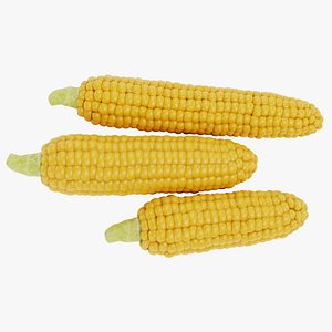 Corns 1 3D