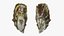 Oyster Collection