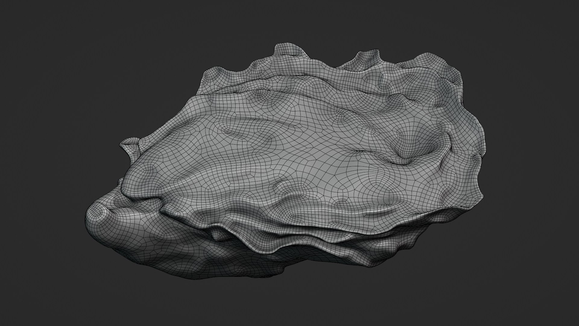 Oyster Collection 3D model https://p.turbosquid.com/ts-thumb/F4/zXiVNv/Mk/oyster02_z0001/png/1748073041/1920x1080/fit_q87/c4fcf014d1e6d9eb15da6c9352c527ddee9d2110/oyster02_z0001.jpg
