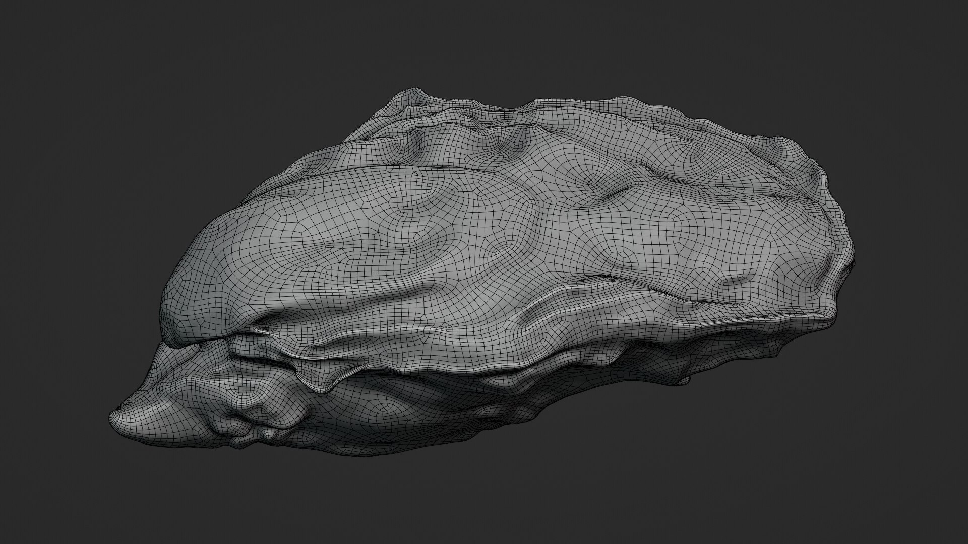 Oyster Collection 3D model https://p.turbosquid.com/ts-thumb/F4/zXiVNv/tD/oyster03_z0001/png/1748073052/1920x1080/fit_q87/6e67b456621c7f3b30d68404b1730ad585c56cf4/oyster03_z0001.jpg