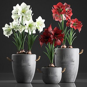3D ornamental flowerpots flowers pots model
