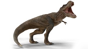 3D Tyrannosaurus model