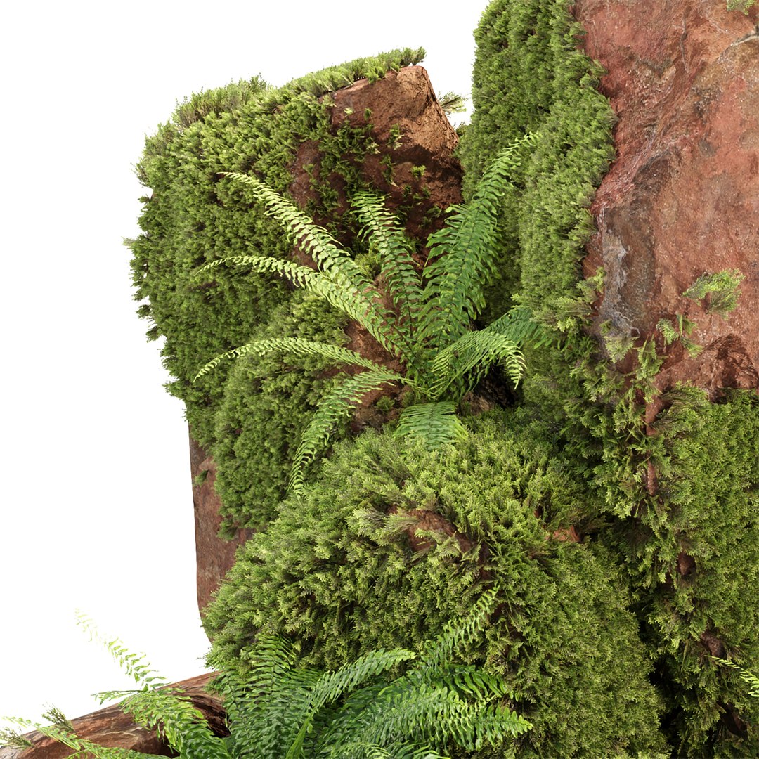 50 Natural Environment Models Bundle 3D Model - TurboSquid 2495209