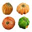Pumpkins