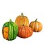 Pumpkins