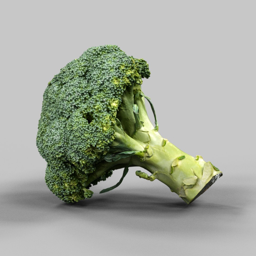 obj chicory apple banana https://p.turbosquid.com/ts-thumb/F5/nHBCdR/I7Ho5z4W/broccoli_1/png/1452027692/1920x1080/fit_q87/120b2d10c9505864d8870657a36c79ceb89ecbdd/broccoli_1.jpg