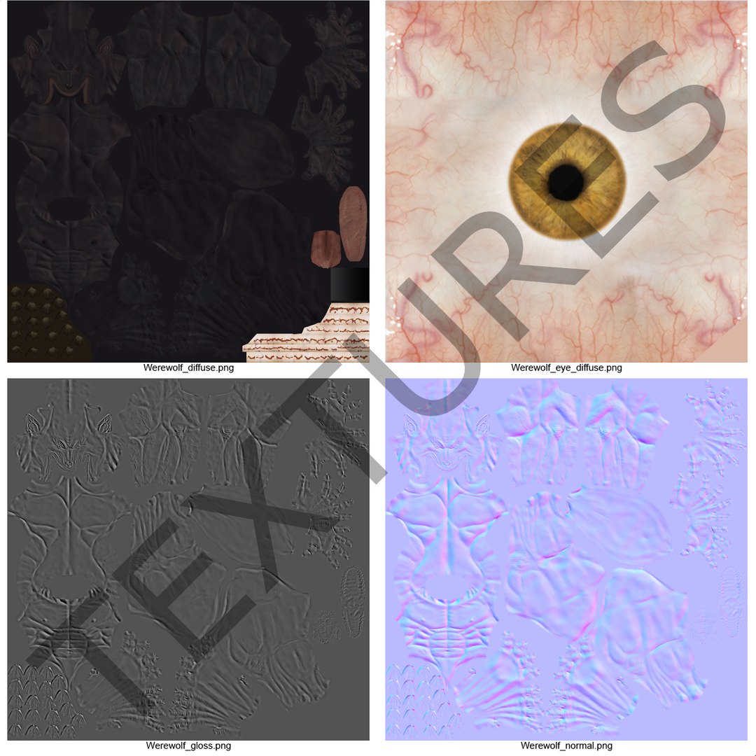 max werewolf wolf https://p.turbosquid.com/ts-thumb/F5/tloKPI/49ns6vHq/werewolf_4/jpg/1414428554/1920x1080/fit_q87/1c8ed5a2302144363a8ac9b23e6ee6ba4fb32ba7/werewolf_4.jpg