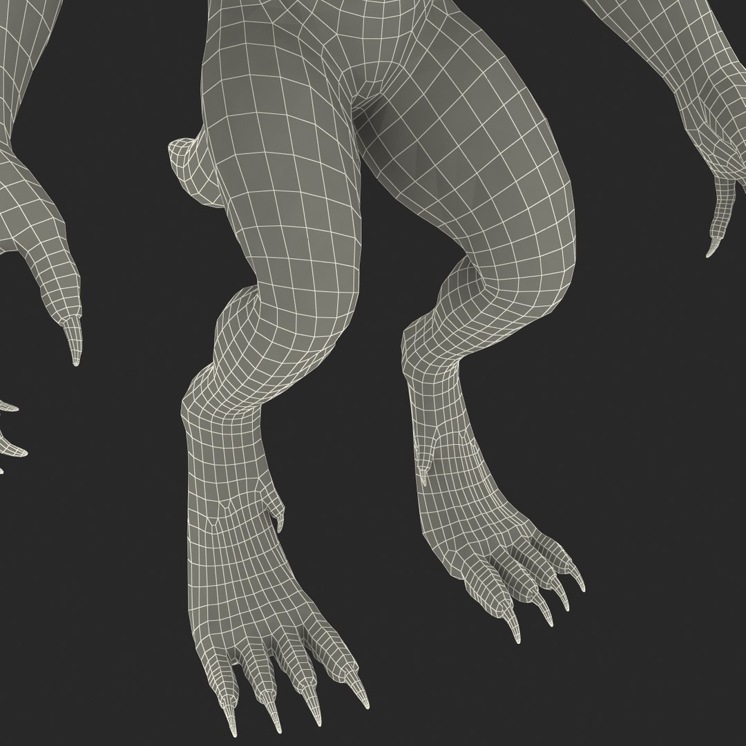 max werewolf wolf https://p.turbosquid.com/ts-thumb/F5/tloKPI/4vOIK4Sa/werewolf_39/jpg/1414428640/1920x1080/fit_q87/77e29fd305097c539ac0dd1ffceec5e6c575288b/werewolf_39.jpg