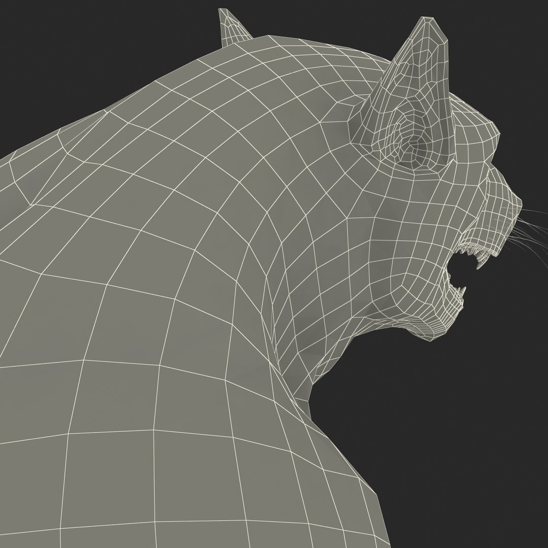 max werewolf wolf https://p.turbosquid.com/ts-thumb/F5/tloKPI/HyCxLcWX/werewolf_37/jpg/1414428635/1920x1080/fit_q87/513e16a9dc1a7d0dd815b9f4f622e440b27a51fe/werewolf_37.jpg