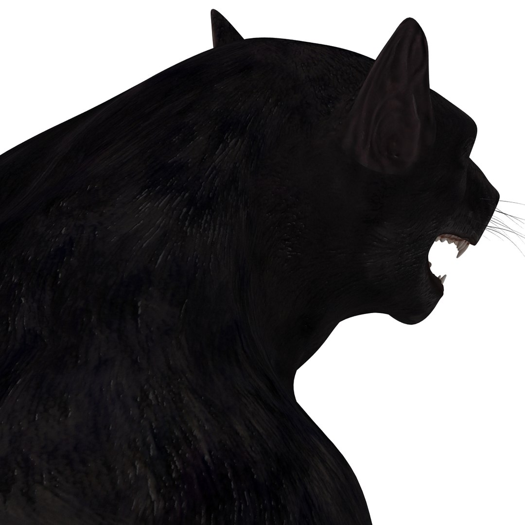 max werewolf wolf https://p.turbosquid.com/ts-thumb/F5/tloKPI/LNXlBkYc/werewolf_21/jpg/1414428514/1920x1080/fit_q87/ed3789706e2560963655bd5fb41ae4da3b8ee504/werewolf_21.jpg